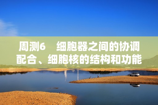 周测6　细胞器之间的协调配合、细胞核的结构和功能（含解析）高中生物学人教版（2019）必修1