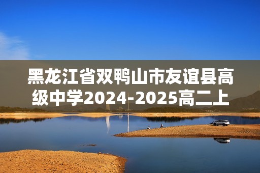 黑龙江省双鸭山市友谊县高级中学2024-2025高二上学期阶段测试化学试卷（二）（含解析）