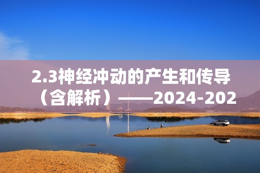 2.3神经冲动的产生和传导（含解析）——2024-2025高二生物学人教版（2019）选择性必修一同步课时作业