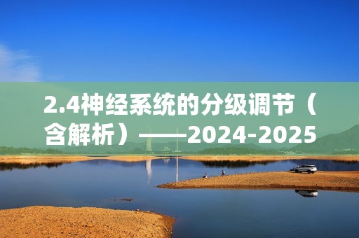 2.4神经系统的分级调节（含解析）——2024-2025高二生物学人教版（2019）选择性必修一同步课时作业