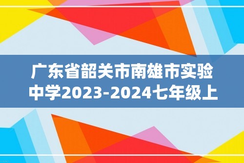 广东省韶关市南雄市实验中学2023-2024七年级上学期期中考试数学试题(无答案)