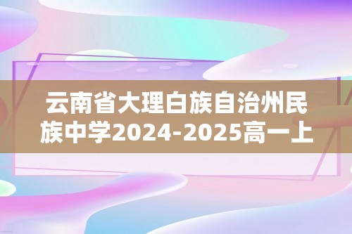 云南省大理白族自治州民族中学2024-2025高一上学期9月月考化学试题（答案）