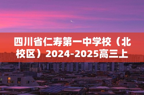 四川省仁寿第一中学校（北校区）2024-2025高三上学期9月月考化学试题（答案）