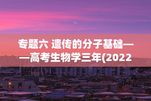 专题六 遗传的分子基础——高考生物学三年(2022-2024)真题精编卷（答案）