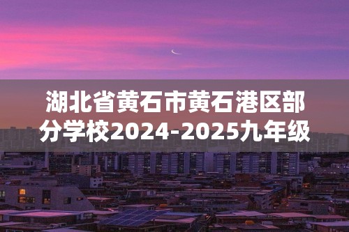 湖北省黄石市黄石港区部分学校2024-2025九年级上学期第一次月考化学试题卷（无答案）