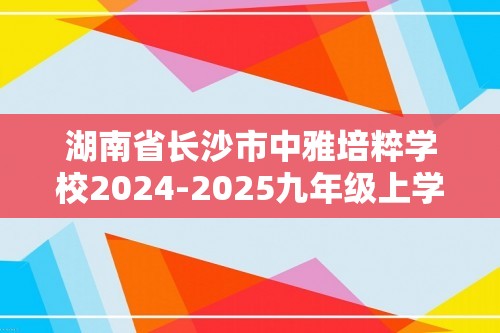 湖南省长沙市中雅培粹学校2024-2025九年级上学期第一次月考化学试卷（图片版无答案）