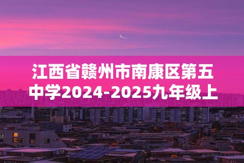 江西省赣州市南康区第五中学2024-2025九年级上学期第一次月考化学试卷（无答案）