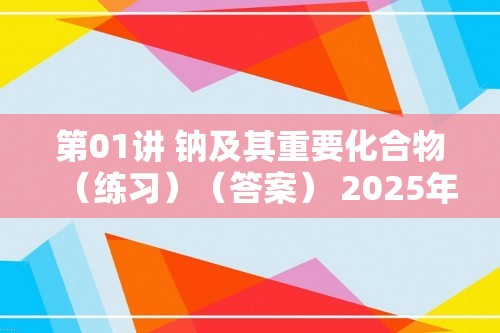 第01讲 钠及其重要化合物（练习）（答案） 2025年高考化学一轮复习讲练测（新教材新高考）