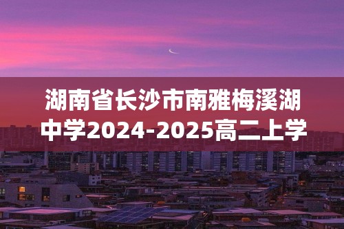 湖南省长沙市南雅梅溪湖中学2024-2025高二上学期阶段性检测化学试题(无答案)