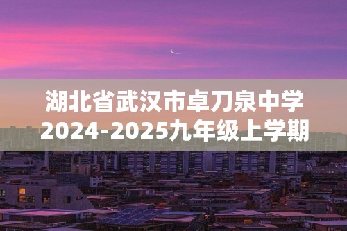 湖北省武汉市卓刀泉中学2024-2025九年级上学期第二次月考数学试题（图片版无答案）