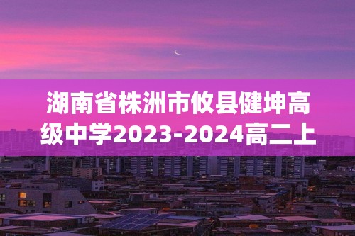 湖南省株洲市攸县健坤高级中学2023-2024高二上学期期中考试化学试题(无答案)