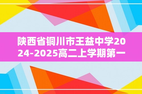 陕西省铜川市王益中学2024-2025高二上学期第一次月考 化学试题（答案）