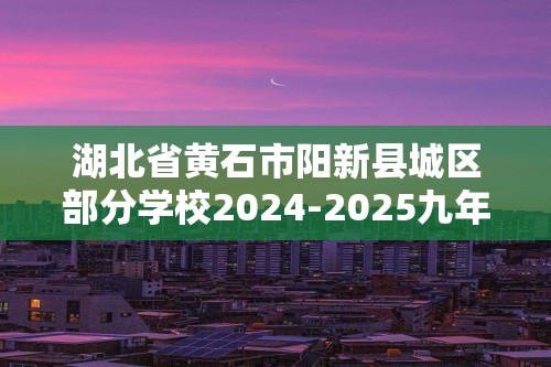 湖北省黄石市阳新县城区部分学校2024-2025九年级上学期阶段性综合素质检测化学卷（无答案）