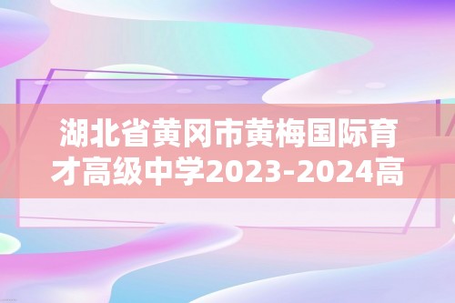 湖北省黄冈市黄梅国际育才高级中学2023-2024高二上学期11月期中考试化学试题（答案）