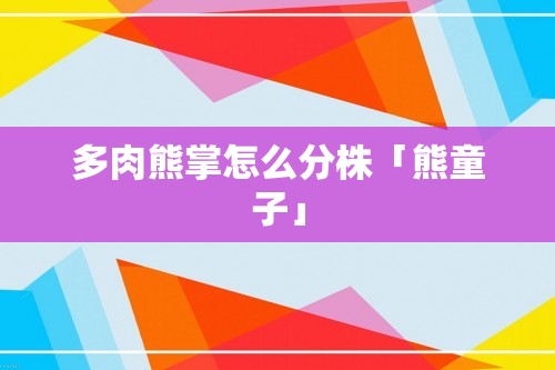 多肉熊掌怎么分株「熊童子」