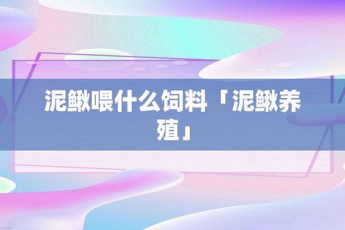 泥鳅喂什么饲料「泥鳅养殖」