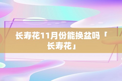 长寿花11月份能换盆吗「长寿花」