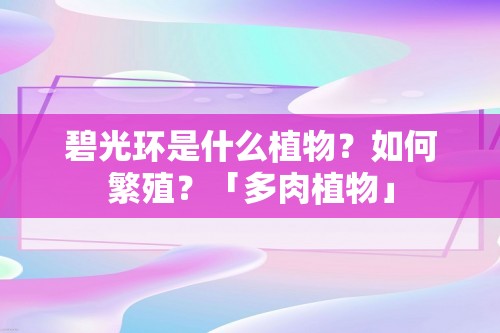 碧光环是什么植物？如何繁殖？「多肉植物」