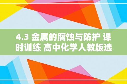 4.3 金属的腐蚀与防护 课时训练 高中化学人教版选择性必修1（含解析）