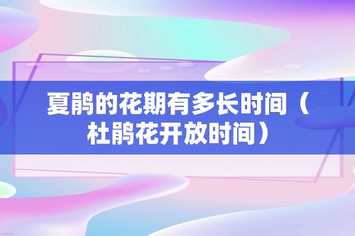 夏鹃的花期有多长时间（杜鹃花开放时间）