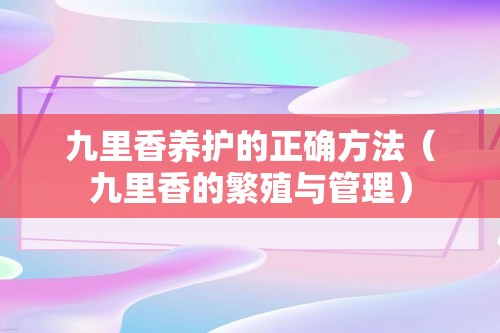 九里香养护的正确方法（九里香的繁殖与管理）