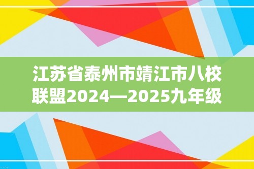 江苏省泰州市靖江市八校联盟2024—2025九年级上学期12月阶段质量调研数学试卷(含部分答案)