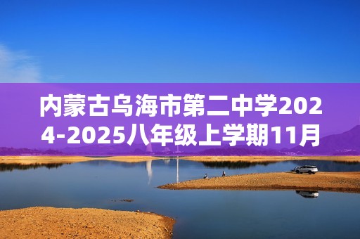 内蒙古乌海市第二中学2024-2025八年级上学期11月第一次教学质量摸底检测数学试题（含部分解析）