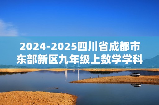 2024-2025四川省成都市东部新区九年级上数学学科12月月考试卷（含答题卡含答案）