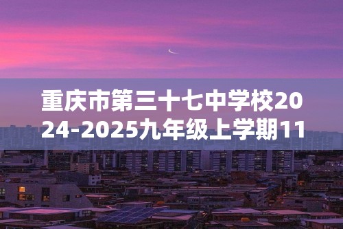 重庆市第三十七中学校2024-2025九年级上学期11月期中考试化学试题