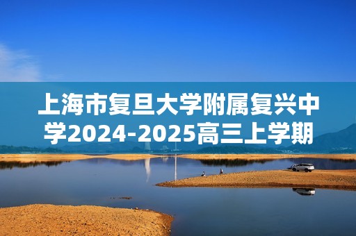 上海市复旦大学附属复兴中学2024-2025高三上学期 阶段测试化学试卷