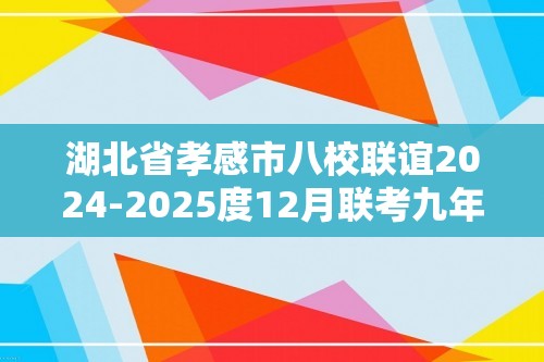 湖北省孝感市八校联谊2024-2025度12月联考九年级化学试卷（答案）