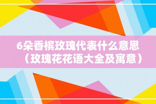 6朵香槟玫瑰代表什么意思（玫瑰花花语大全及寓意）