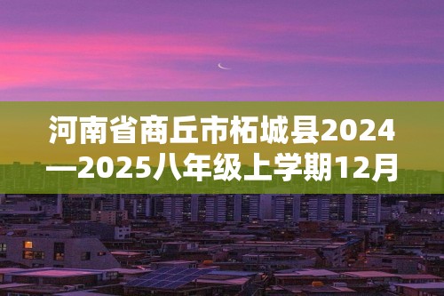 河南省商丘市柘城县2024—2025八年级上学期12月月考数学试题（含部分答案）