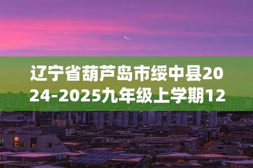 辽宁省葫芦岛市绥中县2024-2025九年级上学期12月月考数学试题(含答案)