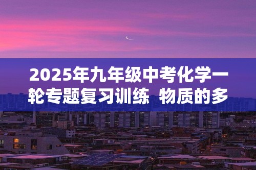 2025年九年级中考化学一轮专题复习训练  物质的多样性　（答案）