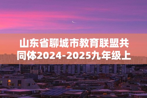 山东省聊城市教育联盟共同体2024-2025九年级上学期12月月考化学试题（图片版无答案）