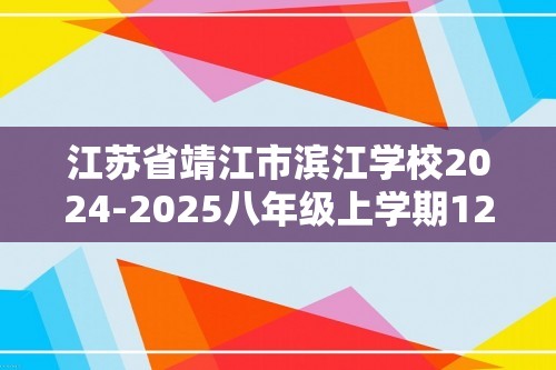 江苏省靖江市滨江学校2024-2025八年级上学期12月独立测试数学试卷（无答案）