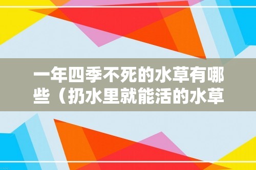 一年四季不死的水草有哪些（扔水里就能活的水草推荐）