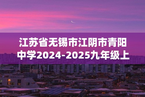 江苏省无锡市江阴市青阳中学2024-2025九年级上学期12月限时训练化学试题(无答案)