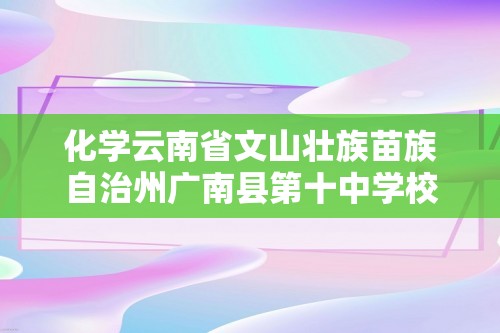 化学云南省文山壮族苗族自治州广南县第十中学校2024-2025高一11月期中考试（图片版无答案）