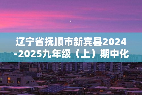 辽宁省抚顺市新宾县2024-2025九年级（上）期中化学试卷（答案）