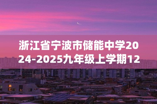 浙江省宁波市储能中学2024-2025九年级上学期12月“储能杯”数学竞赛试卷(含详解)