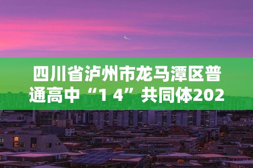 四川省泸州市龙马潭区普通高中“1 4”共同体2024-2025高二上学期期中联考化学试题 （答案）