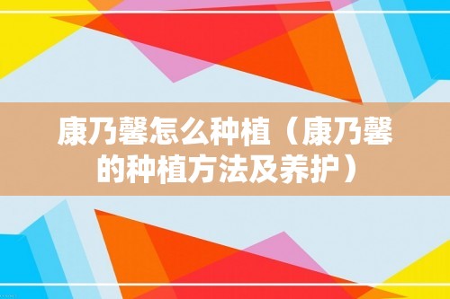 康乃馨怎么种植（康乃馨的种植方法及养护）