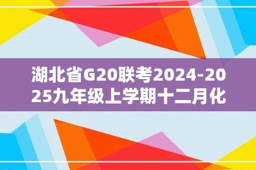 湖北省G20联考2024-2025九年级上学期十二月化学试题（答案）