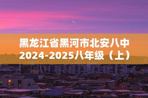 黑龙江省黑河市北安八中2024-2025八年级（上）期中化学试卷（答案）