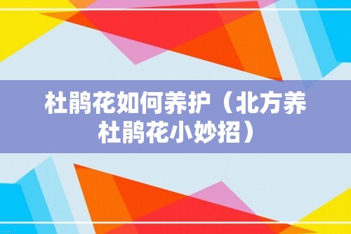 杜鹃花如何养护（北方养杜鹃花小妙招）