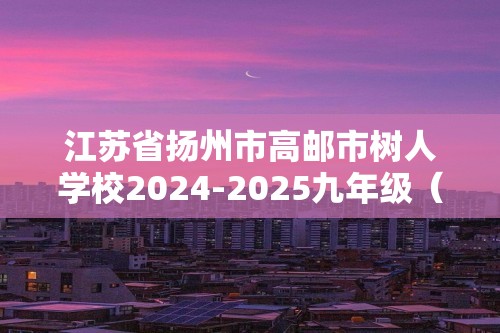 江苏省扬州市高邮市树人学校2024-2025九年级（上）质量检测化学试卷（答案）