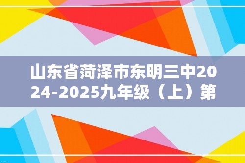 山东省菏泽市东明三中2024-2025九年级（上）第三次月考化学试卷（答案）