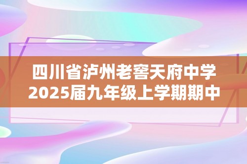 四川省泸州老窖天府中学2025届九年级上学期期中考试化学试卷（图片版含答案）